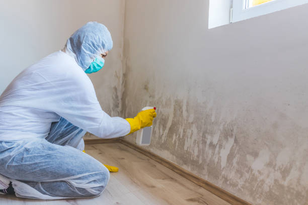 Bathroom Mold Removal assessment in Nokomis bathroom